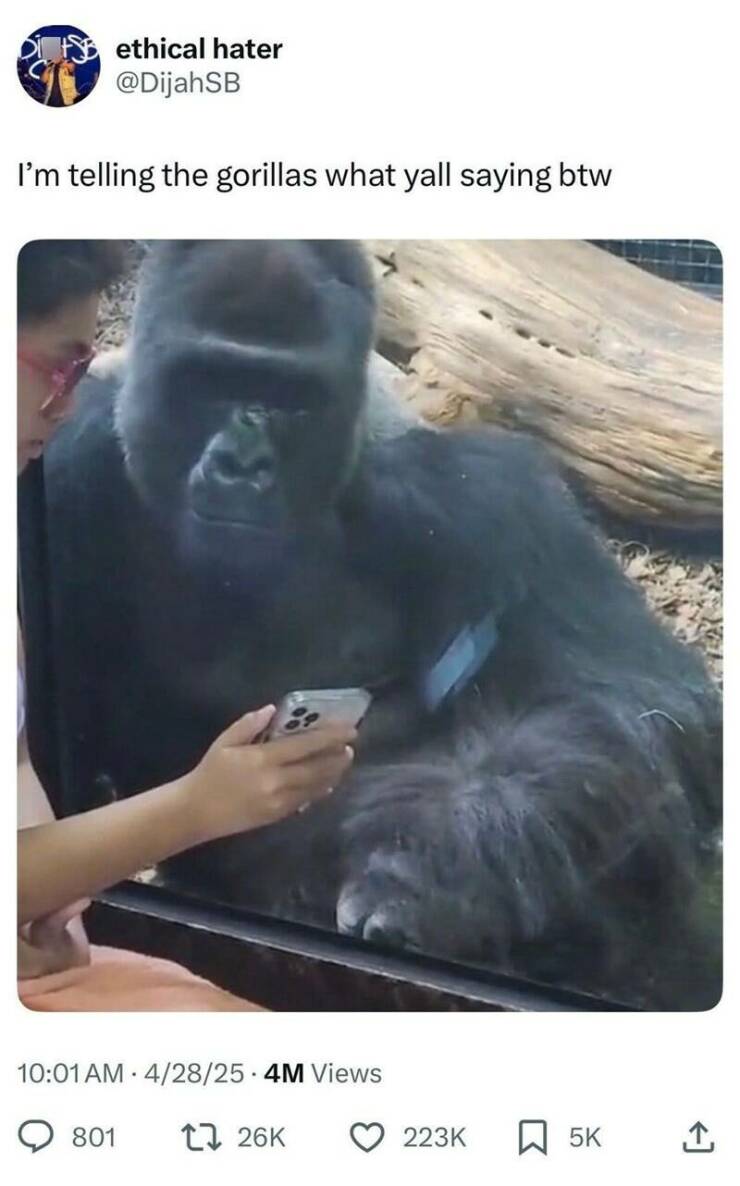 Funny Picdump Funny Picdump