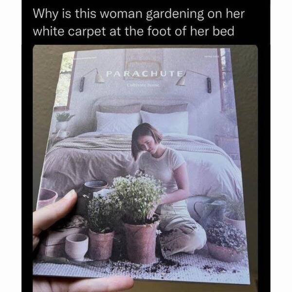 Grumpy Memes For Dad Minds