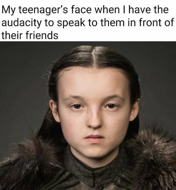 Grumpy Memes For Dad Minds