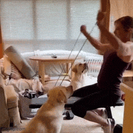 Daily Gifdump Daily Gifdump