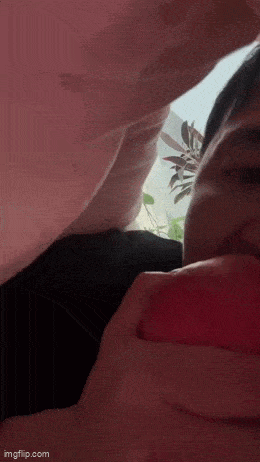 Daily Gifdump Daily Gifdump