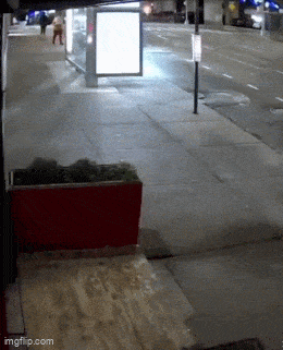 Daily Gifdump Daily Gifdump