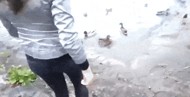 Daily Gifdump Daily Gifdump