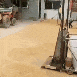 Daily Gifdump Daily Gifdump