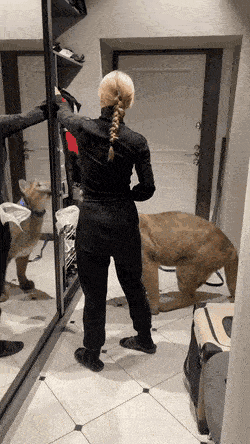 Daily Gifdump Daily Gifdump