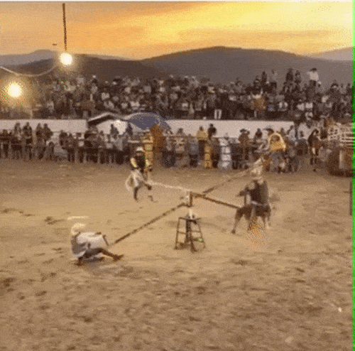 Daily Gifdump Daily Gifdump