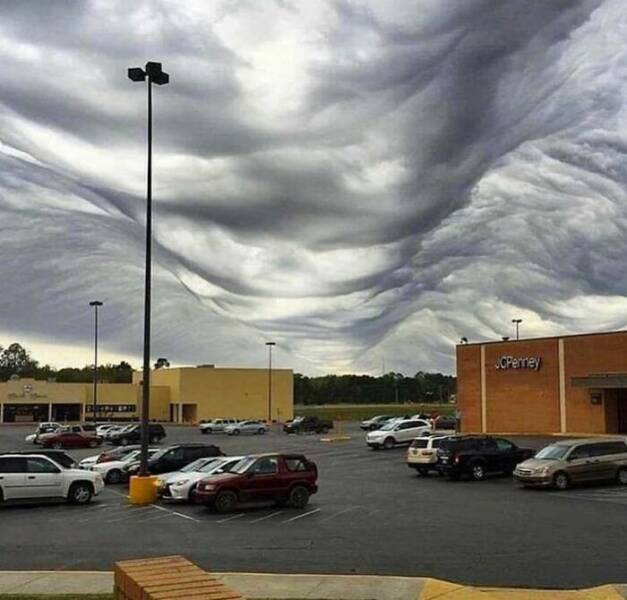 Chaotic Photos That Only Make Sense On The Internet