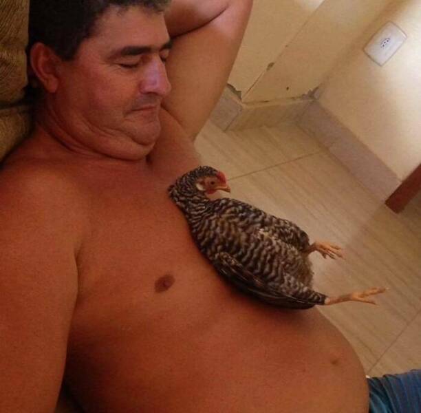 Chaotic Photos That Only Make Sense On The Internet
