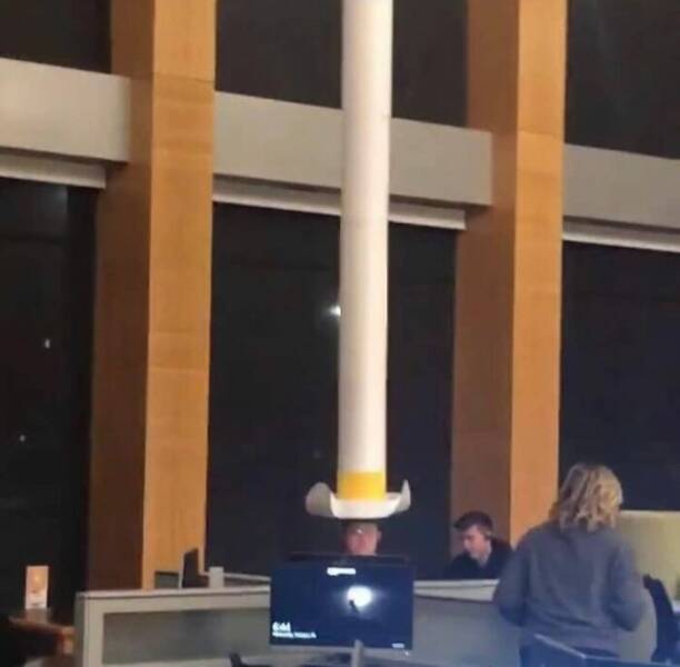 Chaotic Photos That Only Make Sense On The Internet