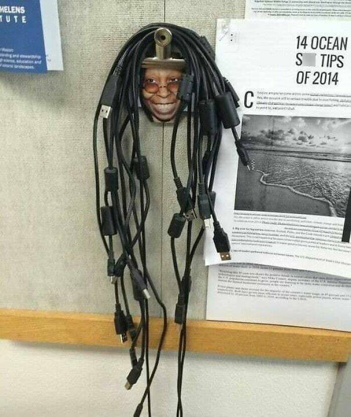 Chaotic Photos That Only Make Sense On The Internet