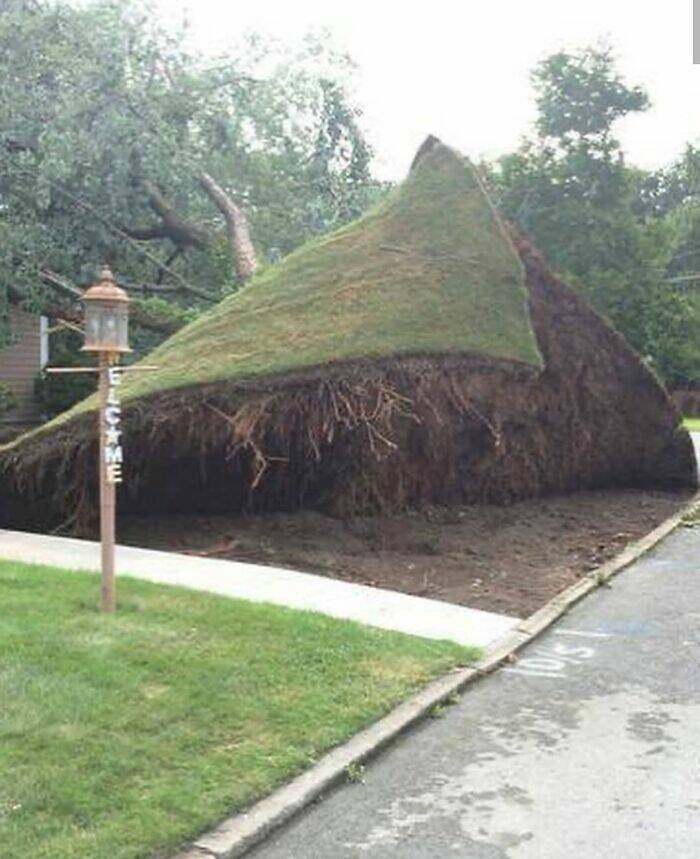 Chaotic Photos That Only Make Sense On The Internet