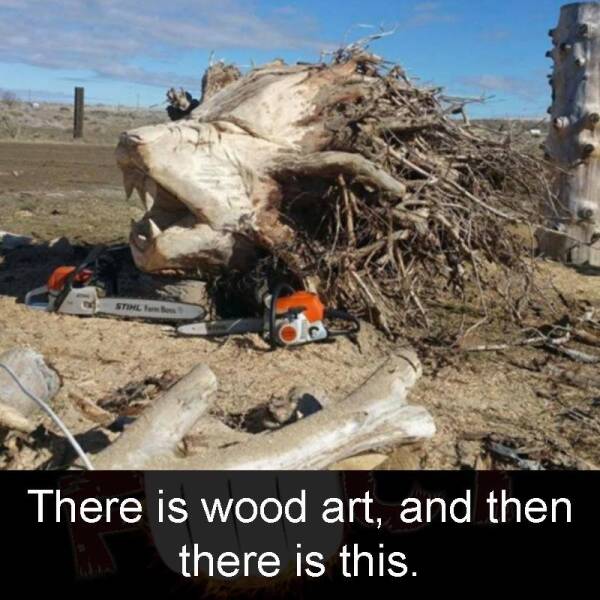 Daily Picdump