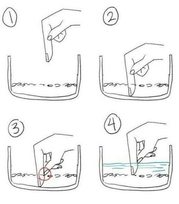 Guides Exist For Things You Didn’t Even Know Needed Explaining