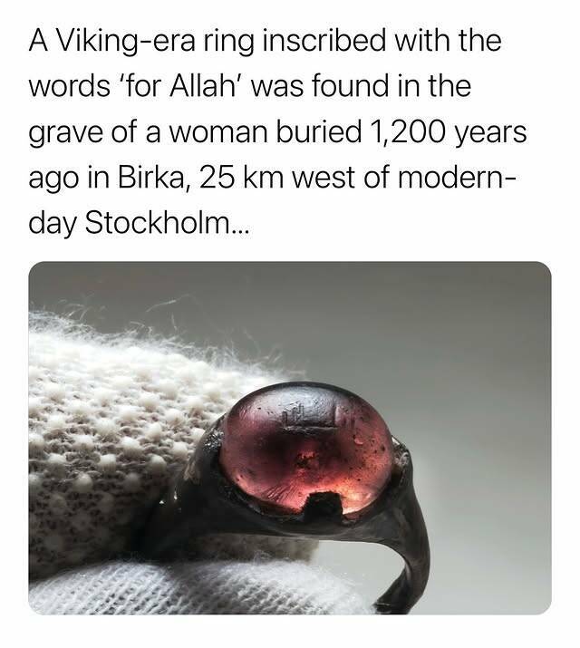 Morning Picdump Morning Picdump