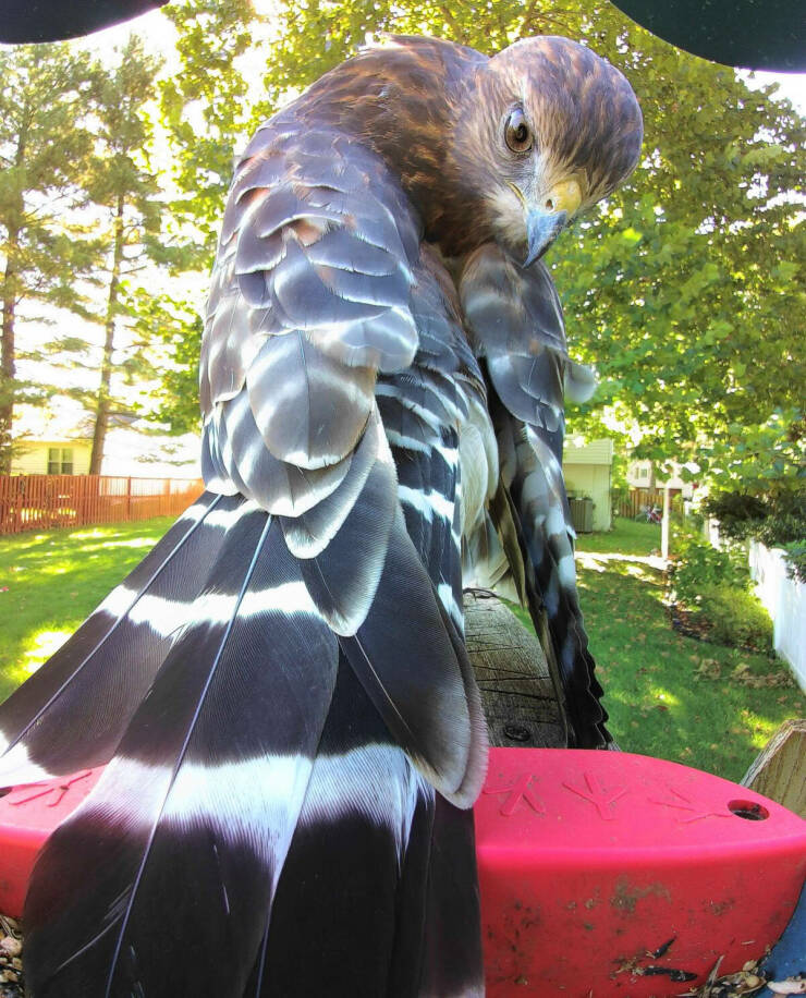 Morning Picdump Morning Picdump