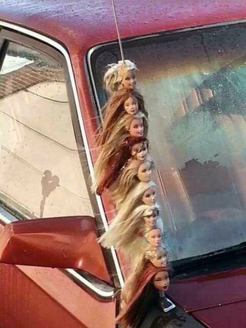 Morning Picdump Morning Picdump