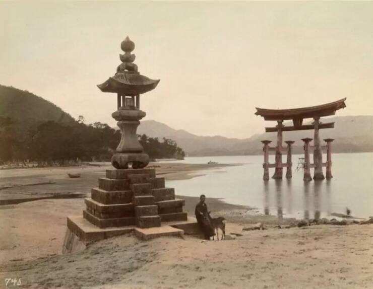Rare Photos That Reveal 1800s Japan Like You’ve Never Seen