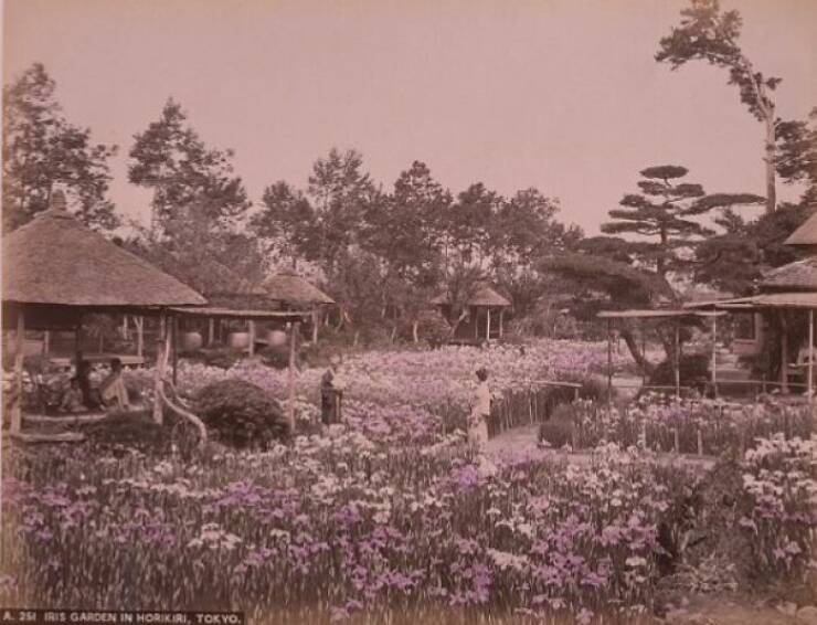 Rare Photos That Reveal 1800s Japan Like You’ve Never Seen