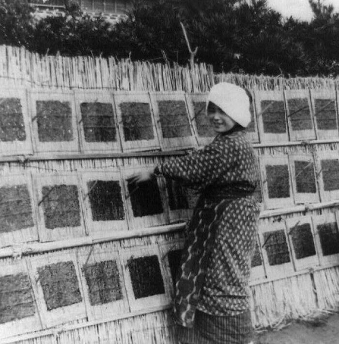 Rare Photos That Reveal 1800s Japan Like You’ve Never Seen