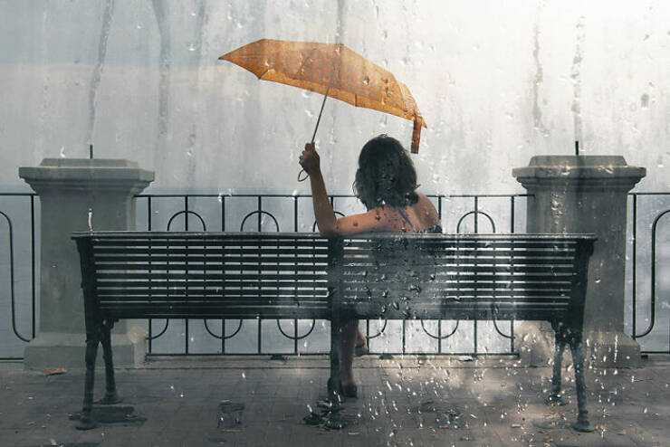 Stunning Moments That Show Magic In The Ordinary