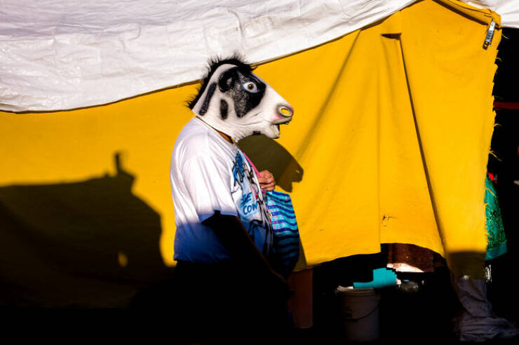 Stunning Moments That Show Magic In The Ordinary