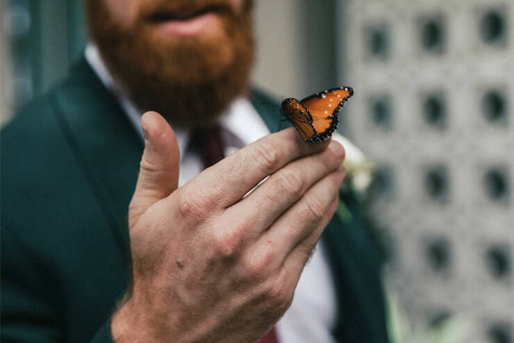 Wedding Stories That Took A Wild Turn