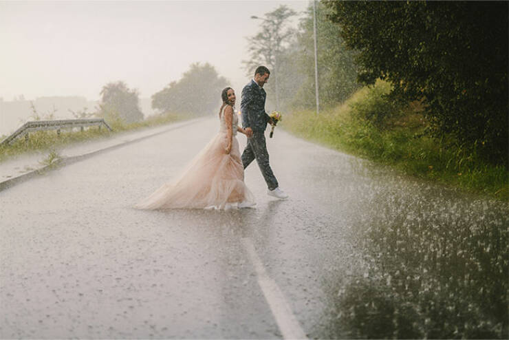 Wedding Stories That Took A Wild Turn