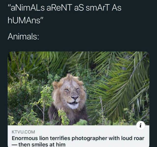 Wholesome Twists You Didnt See Coming In These Memes