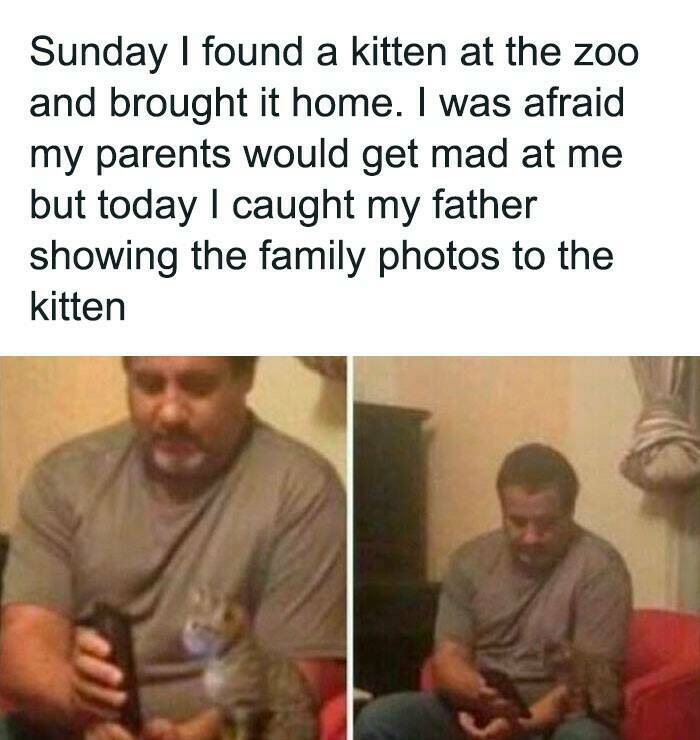 Wholesome Twists You Didnt See Coming In These Memes