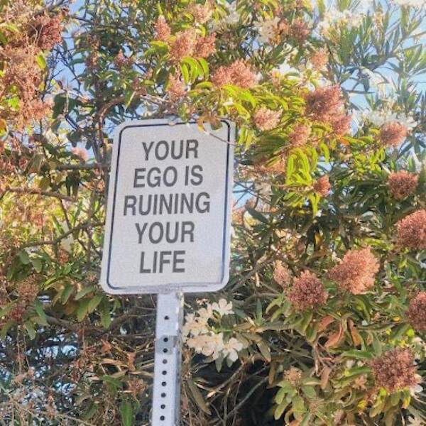 Words Of Wisdom We All Need Right Now