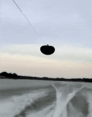 Daily Gifdump Daily Gifdump