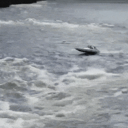 Daily Gifdump Daily Gifdump