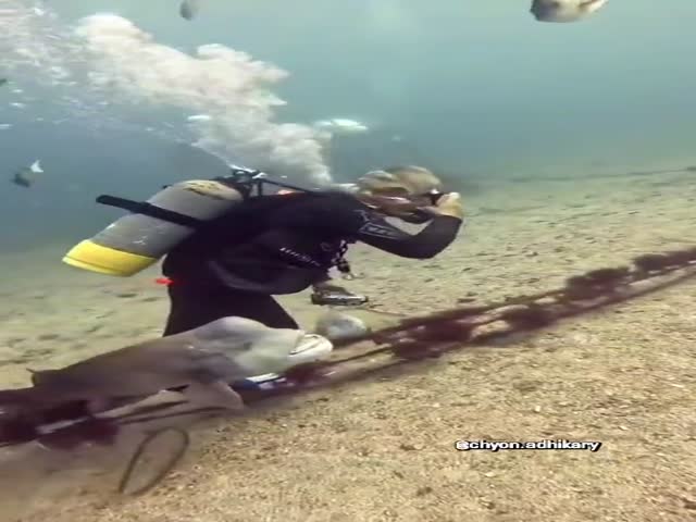 Underwater World