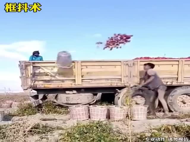 Experts At What They Do