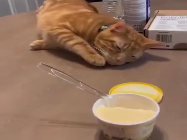 Just Sleeping