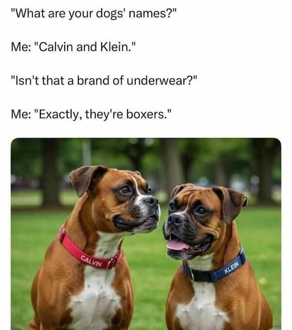 A Small Dose Of Dad Jokes