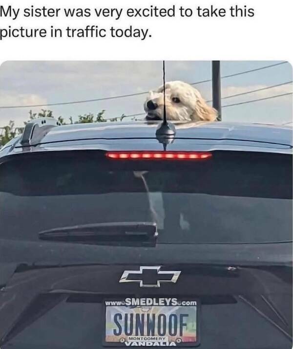 A Small Dose Of Dad Jokes