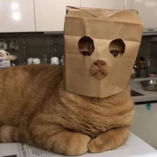 Big Feelings, Bright Vibes