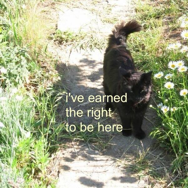 Big Feelings, Bright Vibes