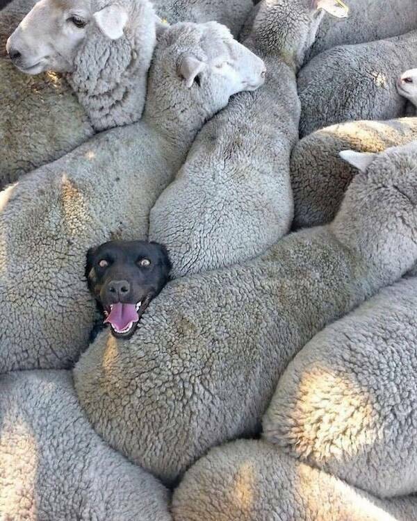 Big Feelings, Bright Vibes