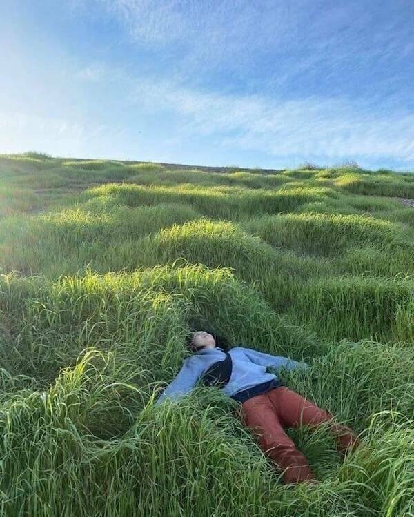 Big Feelings, Bright Vibes