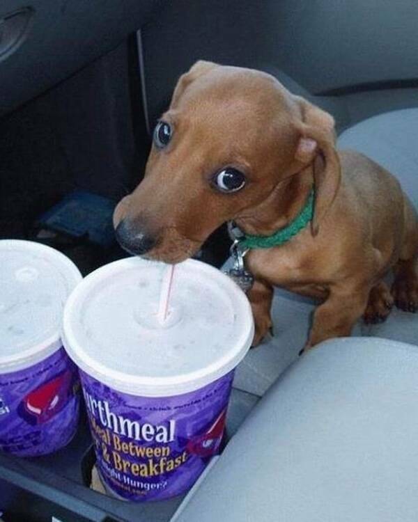 Big Feelings, Bright Vibes