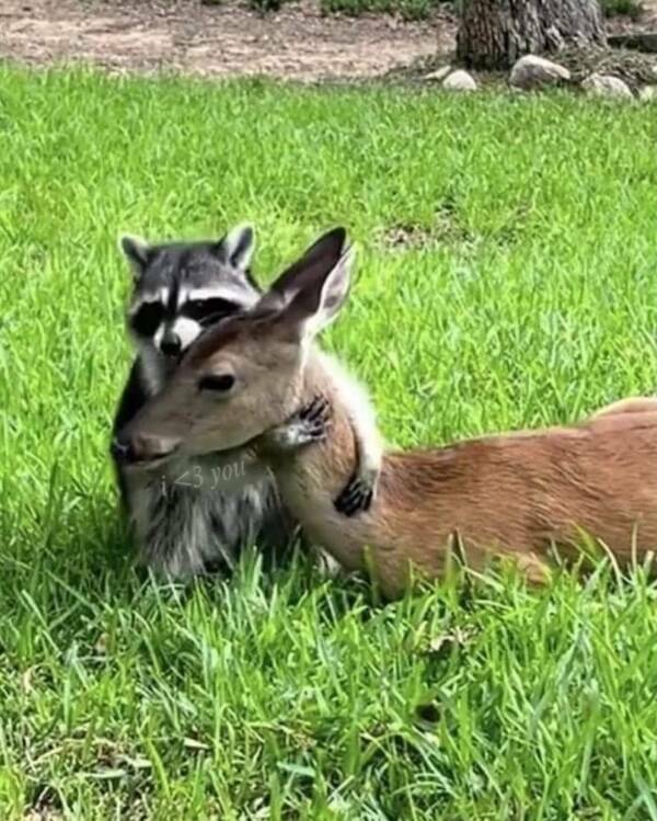 Big Feelings, Bright Vibes