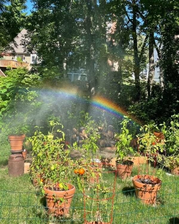 Big Feelings, Bright Vibes