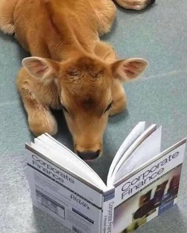 Big Feelings, Bright Vibes