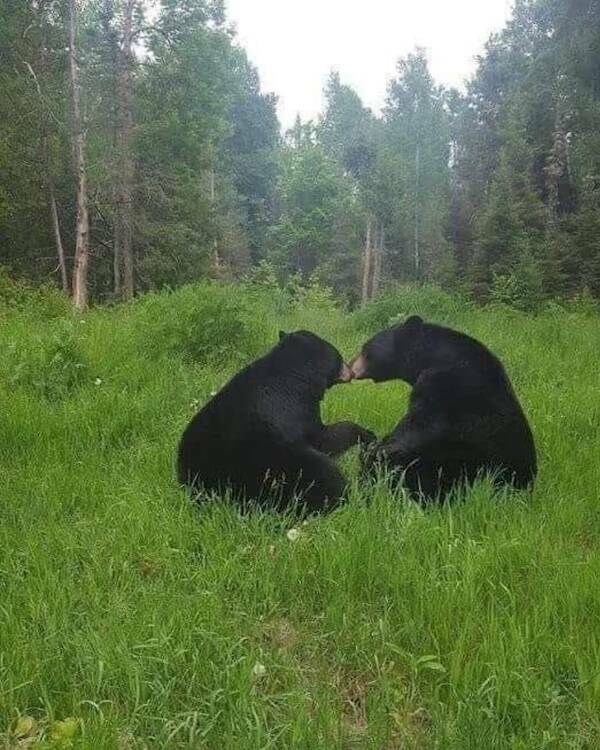 Big Feelings, Bright Vibes