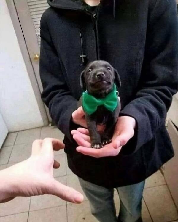 Big Feelings, Bright Vibes