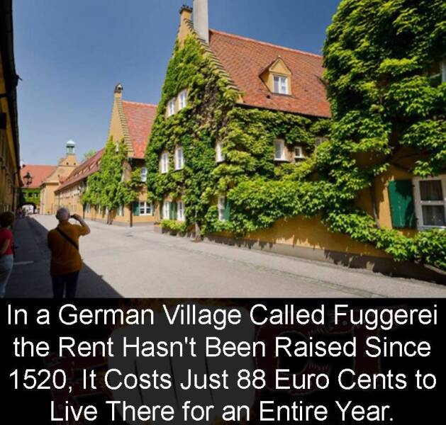 Daily Picdump [WEEKEND EDITION]