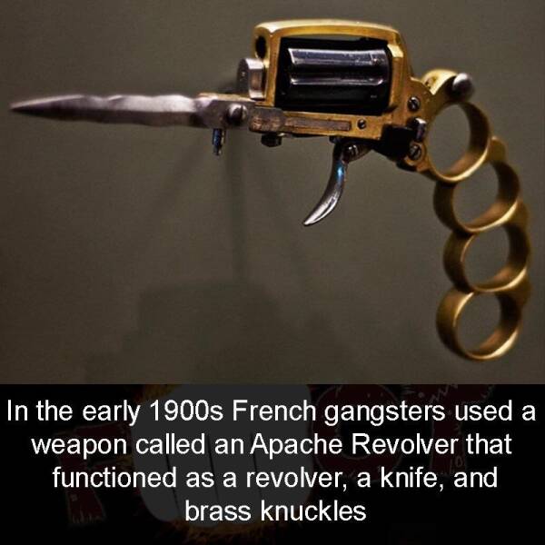 Daily Picdump [WEEKEND EDITION]