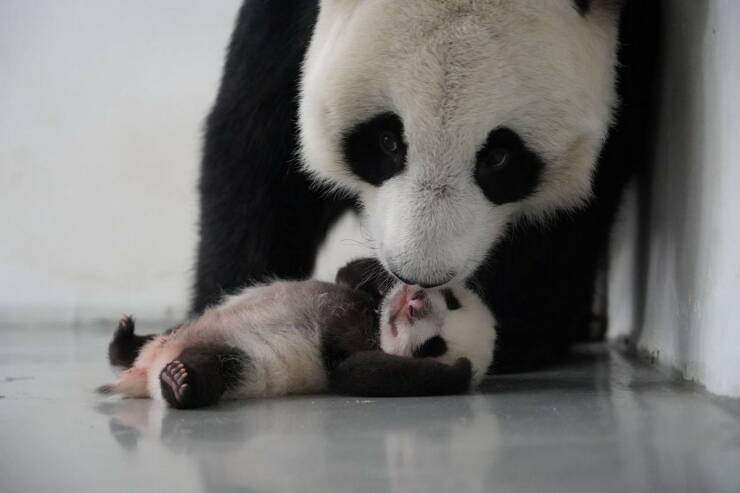 Daily Picdump [WEEKEND EDITION]